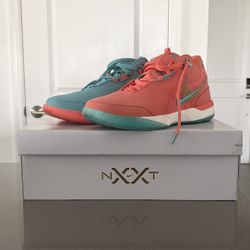 Zoom LeBron NXXT Gen AMPD Miami 🌴