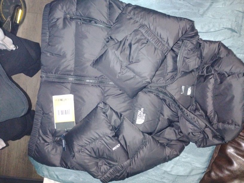 Winter Jacket