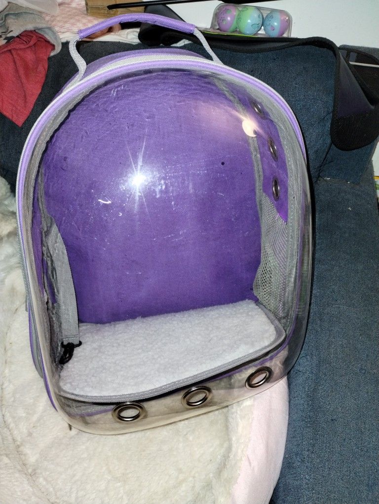 Cat Backpack