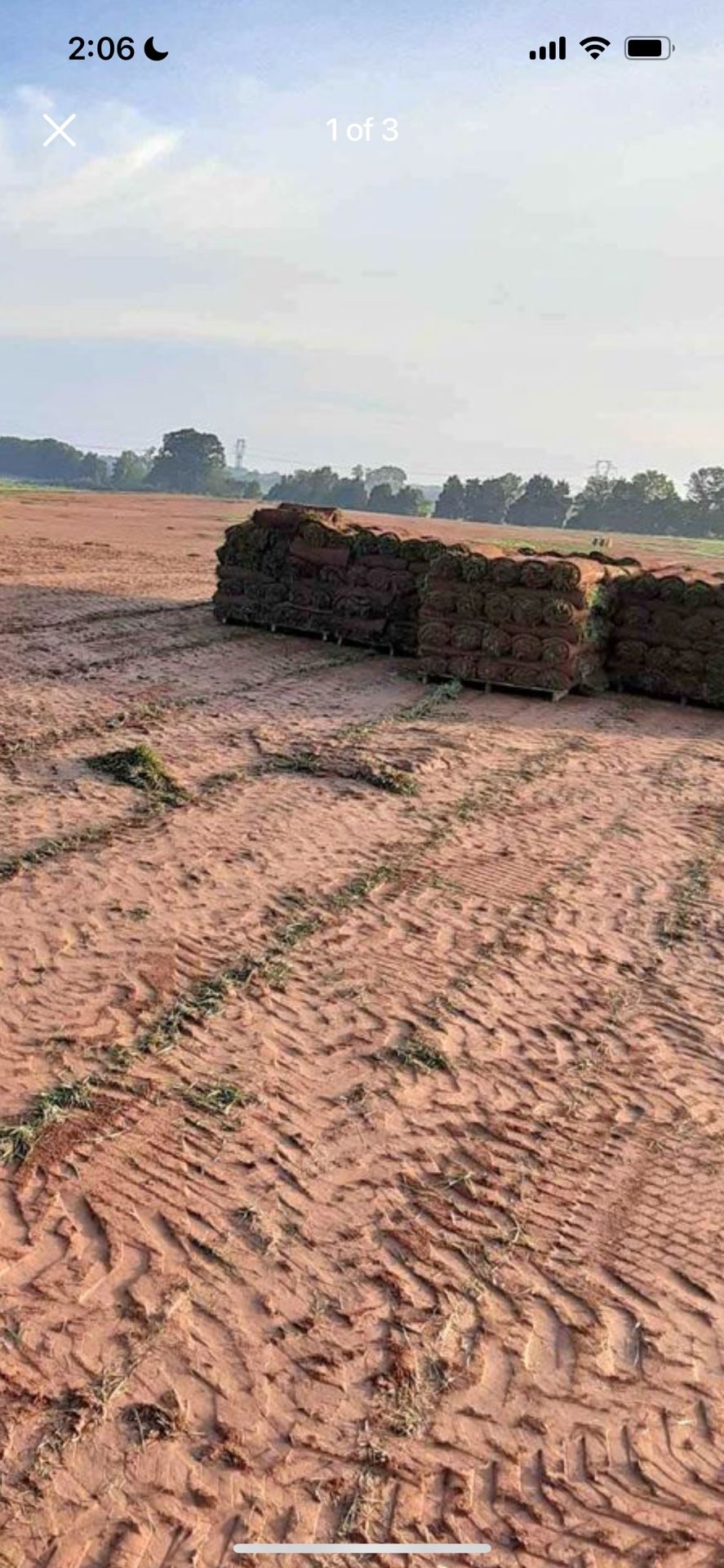 Fresh Sod