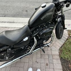 Harley Davidson 883 Iron Sportster 