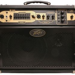 Used Ecoustic E110 acoustic guitar amplifier