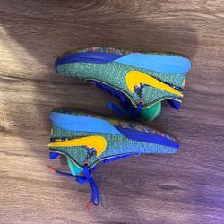 LeBron XX SE Size 6 Basketball Shoes, Will Negotiate 