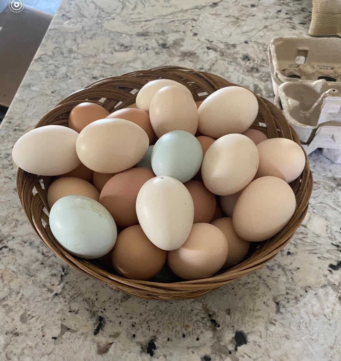 Farm Fresh Eggs