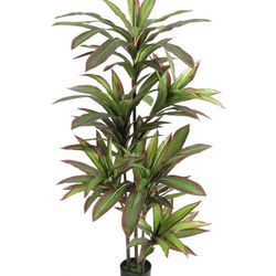 Dracaena Silk Plant Artificial