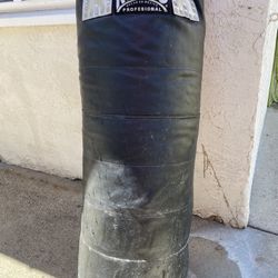 Reyes Punching Bag