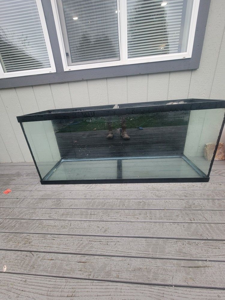 5FT LONG FISH TANK