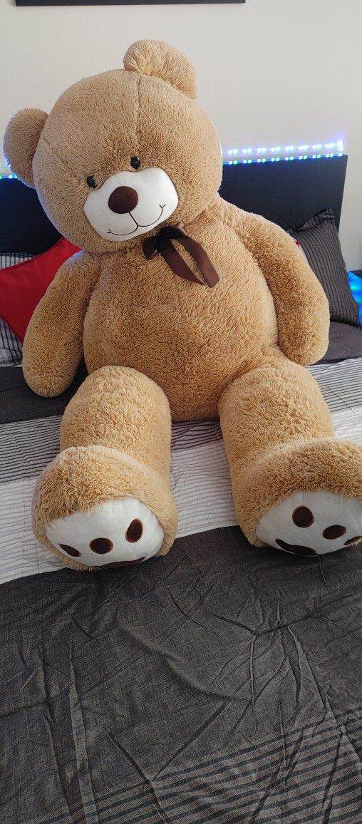 Giant Teddy  Bear 