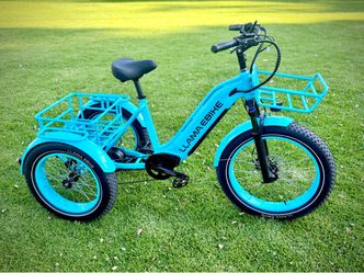 E-Trike $1500.obo