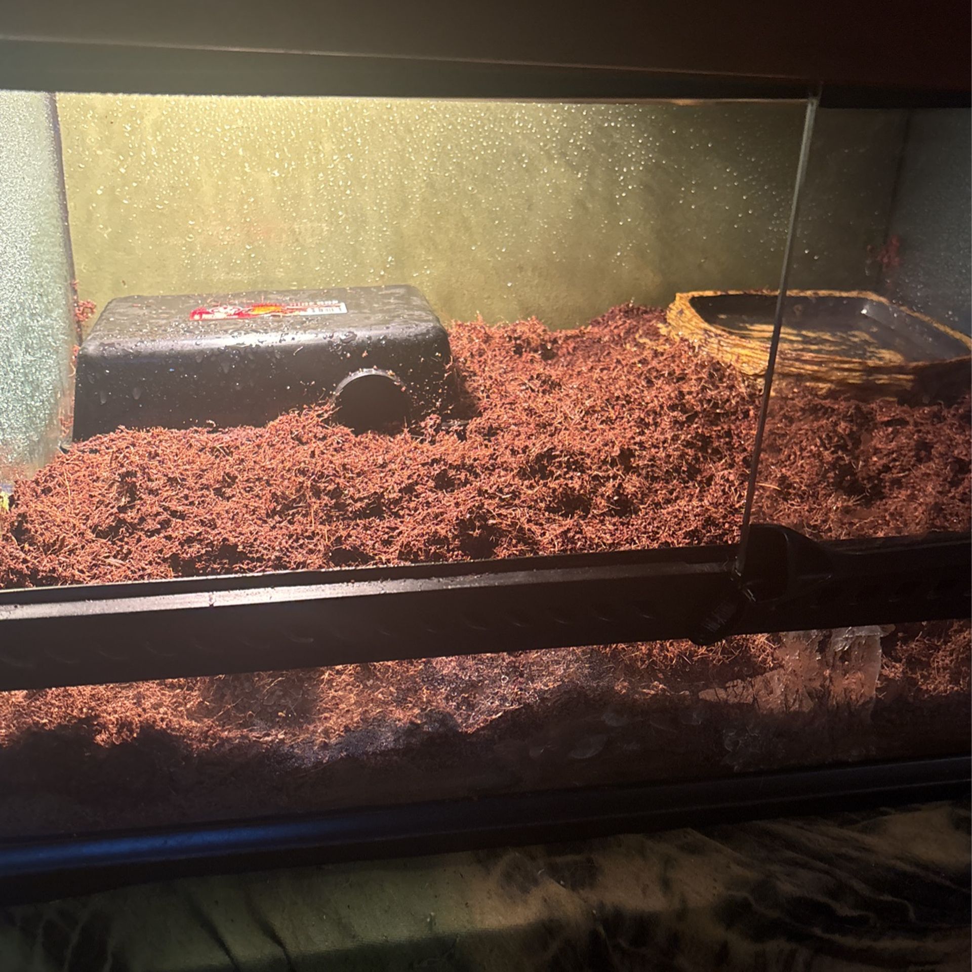Reptile Snake Enclosure