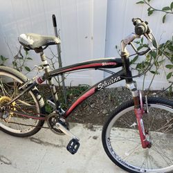 Schwinn 21 Speed Bike