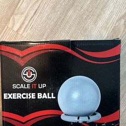 Exercise Ball with Pump