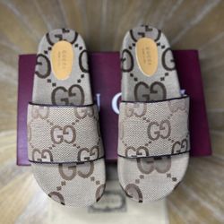 Gucci Slides Brand New With Original Box