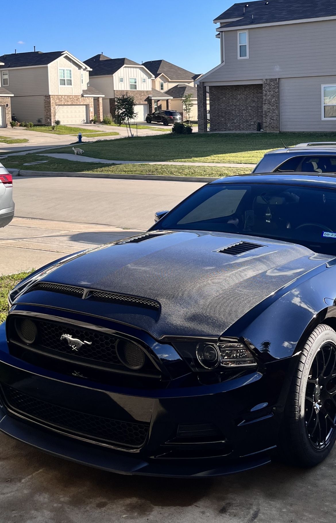 2010-2014 Mustang Gt500 Trufiber Carbon Fiber Hood (also Fits 2013-2014 Mustang GT/V6)