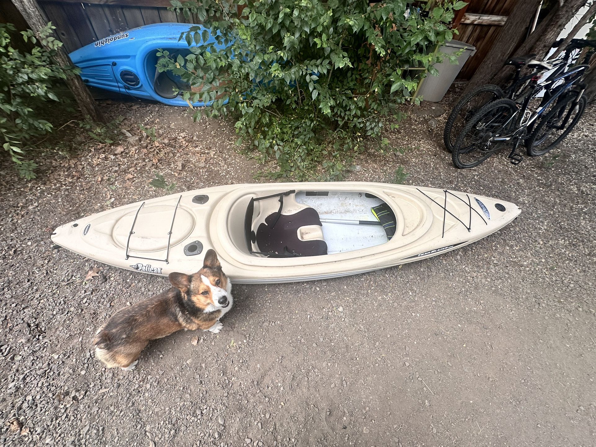 Pelican Kayak 