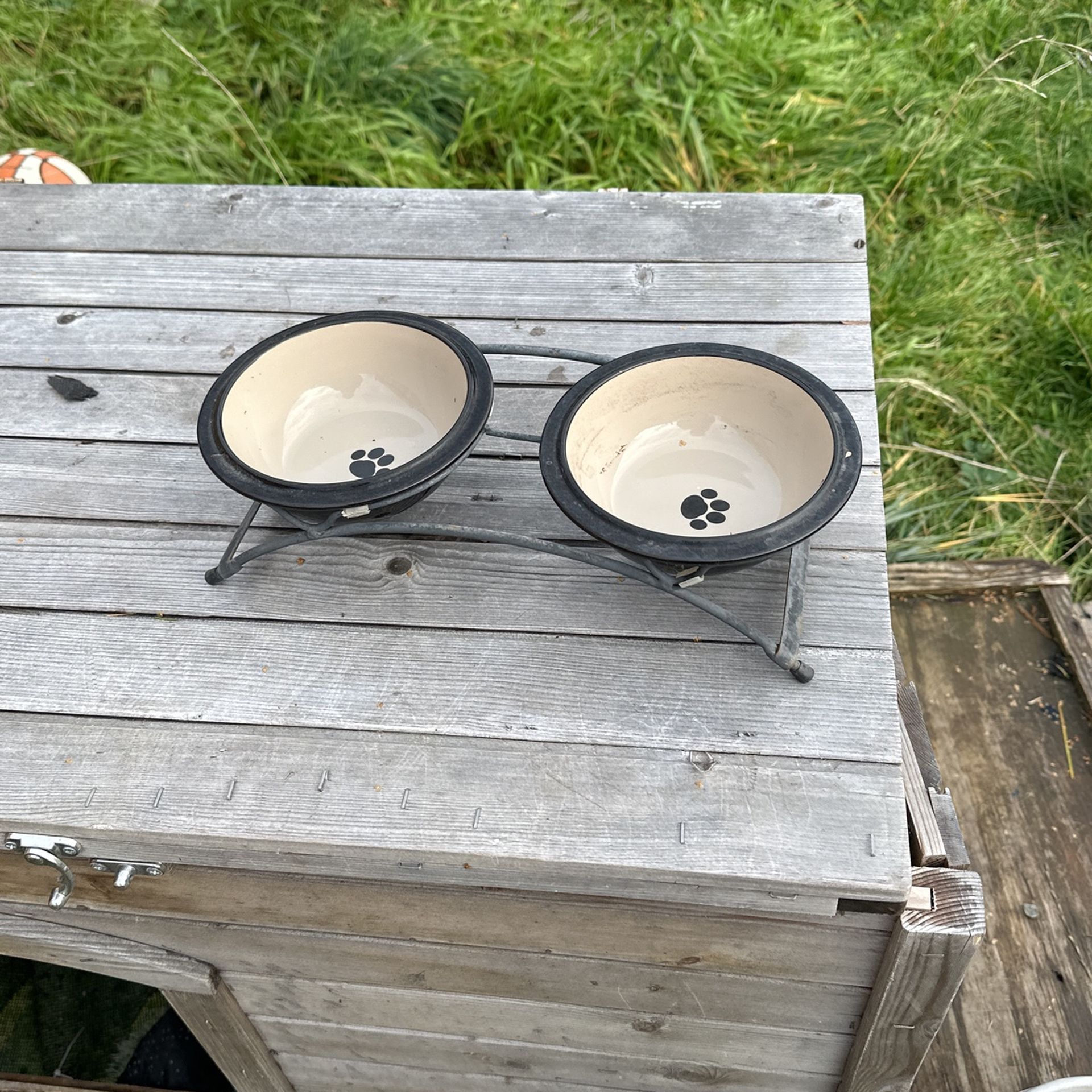 Free Dog Kennel In Serving containers