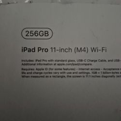 1pad Pro M4 Wifi 256gb