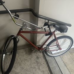 Custom bike 