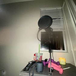 Microphone set up