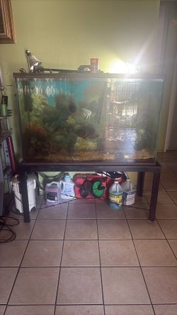 120 Gallon Tank