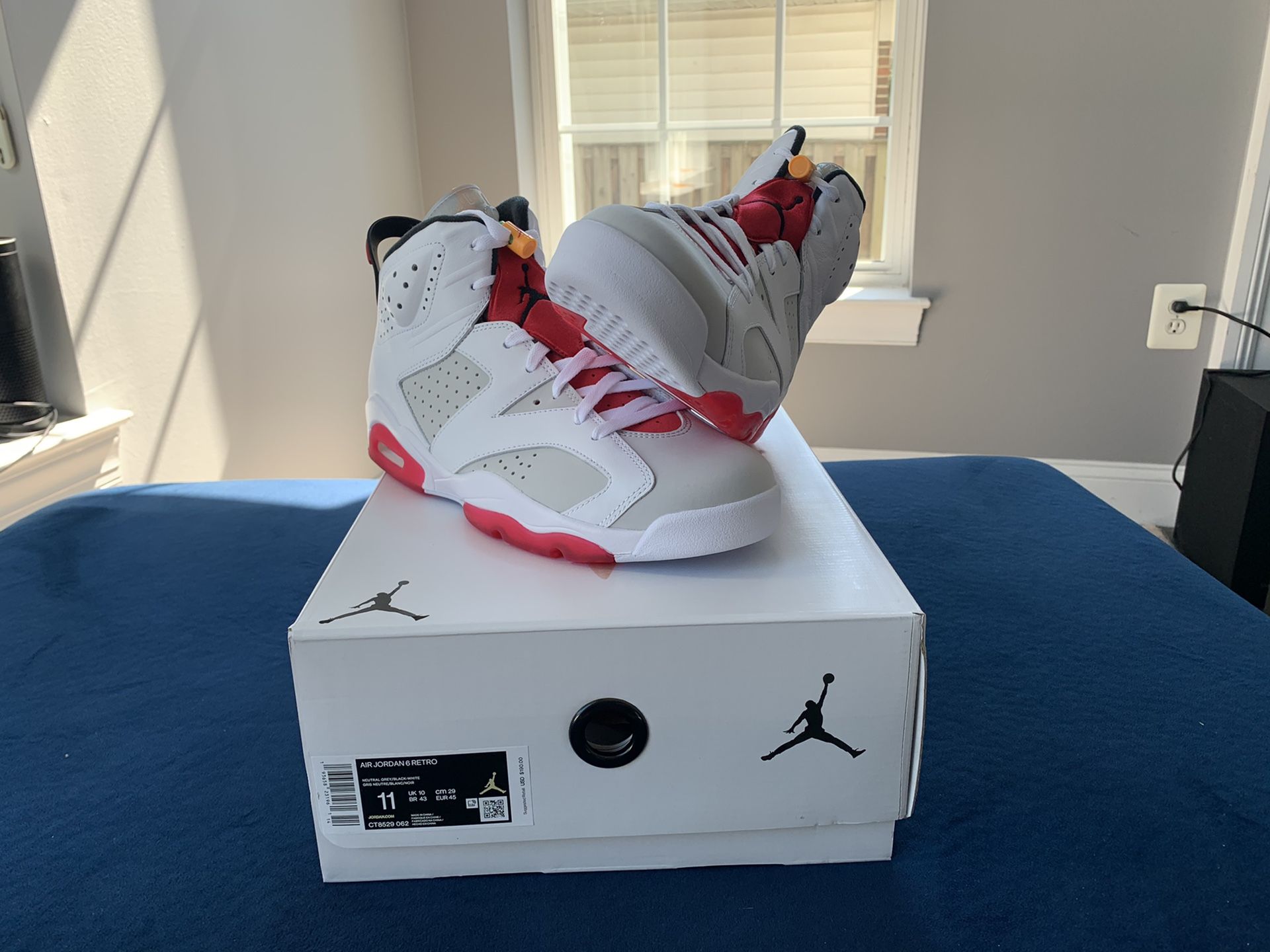 Jordan Retro 6 hare