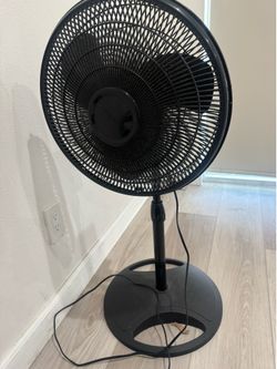 Free Fan