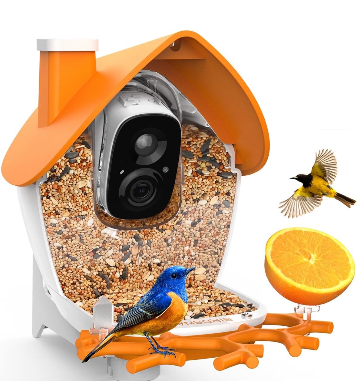 🔥 Smart Bird Feeder with Camera, 2K Detachable Video Bird Feeder Live with 32GB Card Fruit Fork, AI Identify Feather Species, Auto Record in Backyard