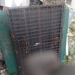 Med  Large Dog Kennel With Tray
