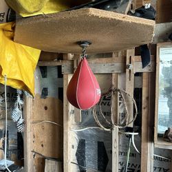 Boxing Speed Bags (2)