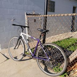 Cannondale street bike (needs chain)