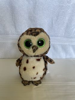 Small Owl “Sammy”
