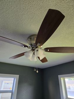 Ceiling fan with lights