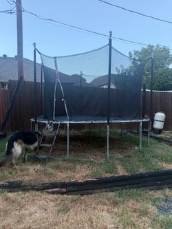 trampoline