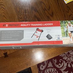 Agility Training Ladder