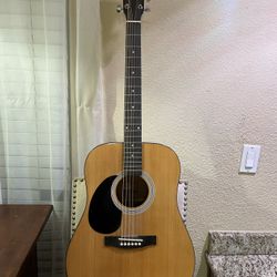 Rogue Dreadnought Acoustic Guitar