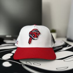 KTHLA Kill The Hype Hat Indians Skull Vintage