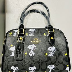 Snoopy Coach