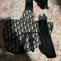 Dior Saddle Bag Crossbody Bag