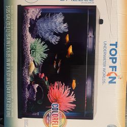 Glass Aquarian 3gal And accessories  