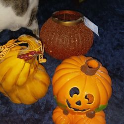 Halloween Decor 🎃 🥮🍂🍁🧡