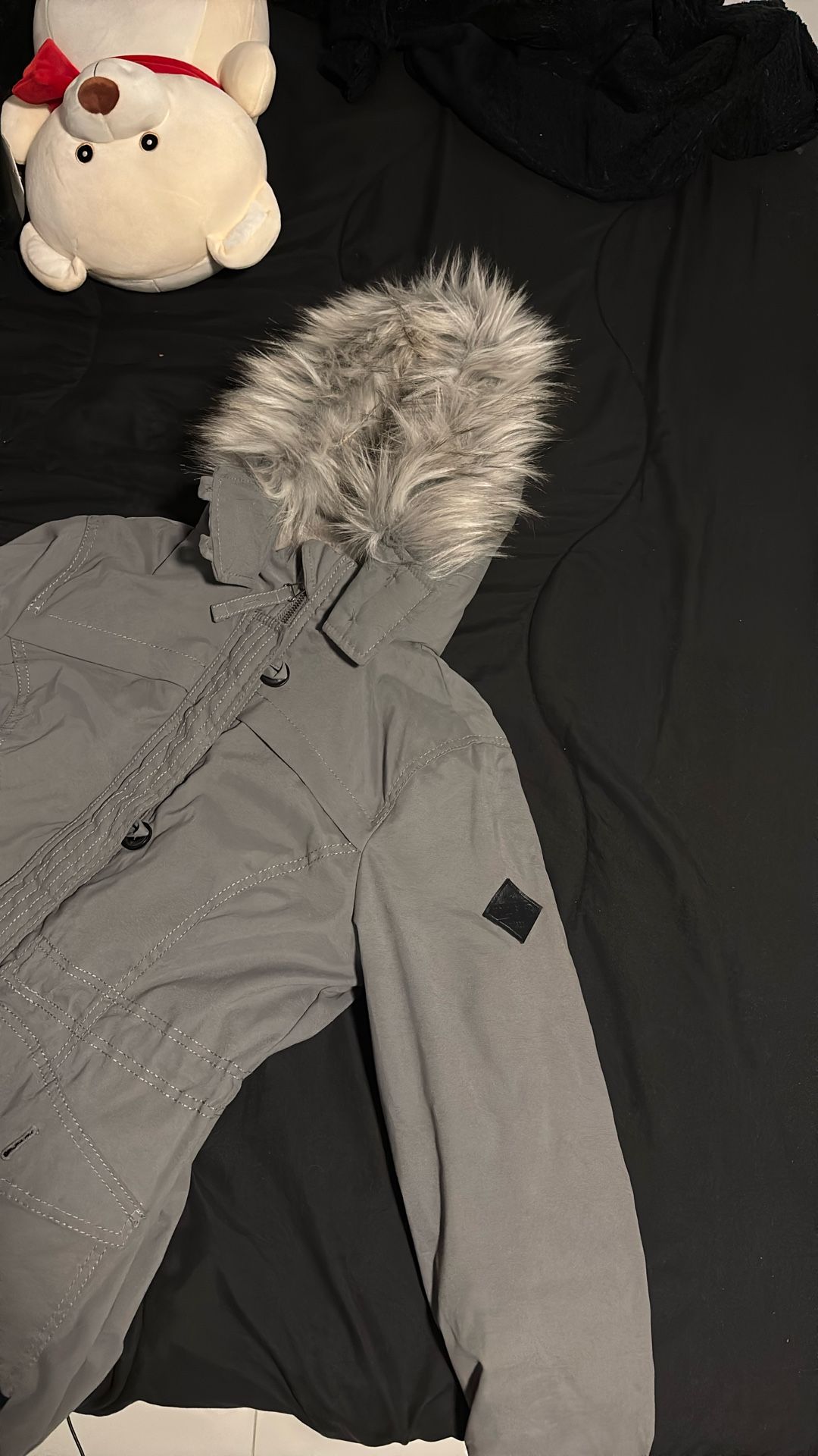 hollister einter jacket