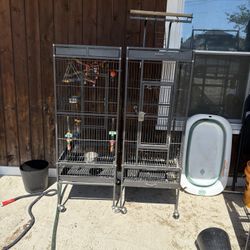 Bird Cages