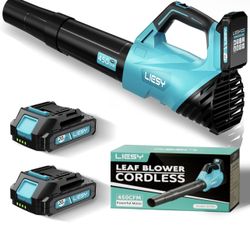Cordless Leaf Blower with 2×20V Batteries & Charger, 2-Speed Electric Leaf Blower, Lightweight Handheld Blower for Patio, Lawn, Garage, Yard