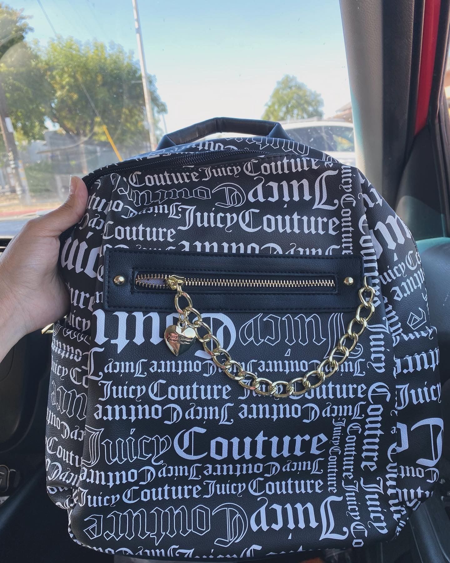 Juicy couture Bag/ Backpack
