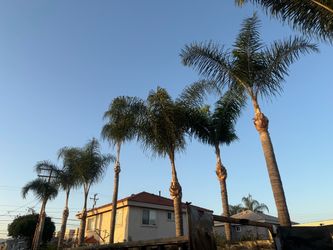 Jardinero