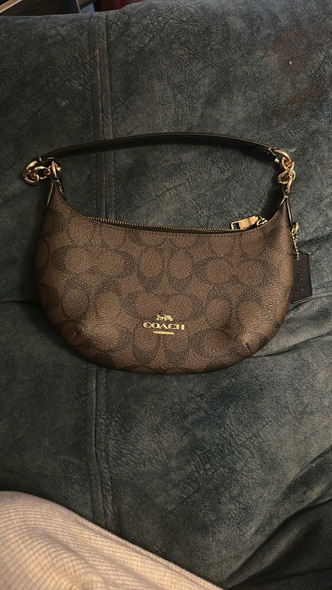 Coach Payton Hobo In Signature Canvas