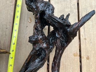 Malaysian driftwood Large pc