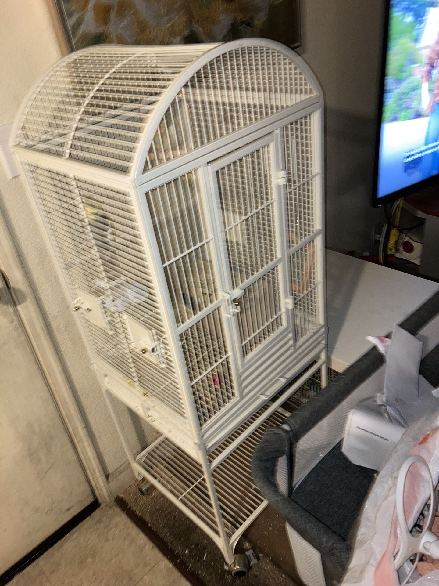 Bird Cage