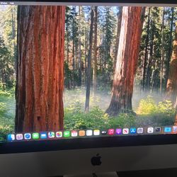 iMac Retina 4K, 21.5-inch, 2019
