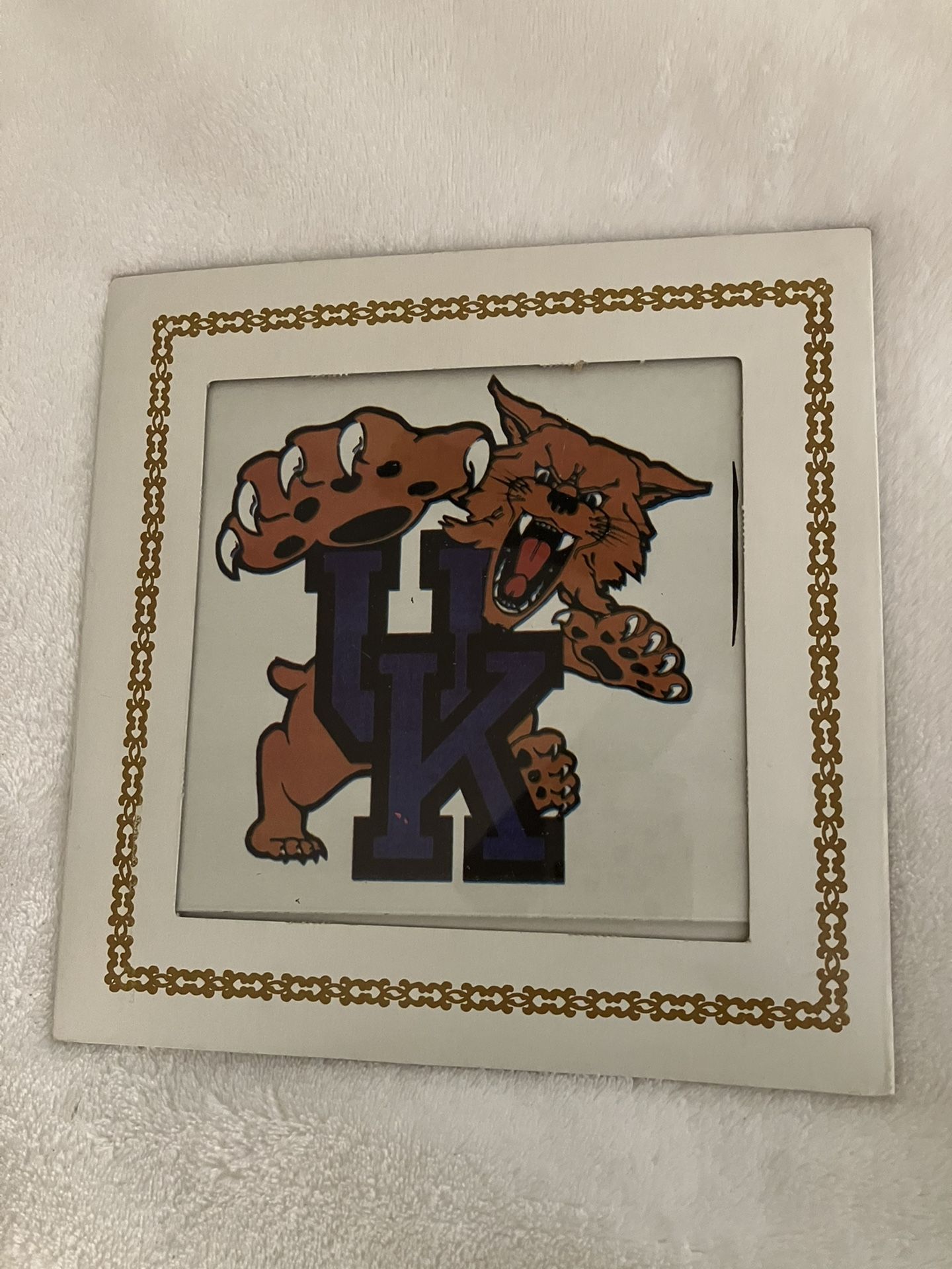 Kentucky Wildcats